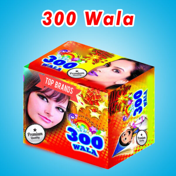 ENJOY 300
